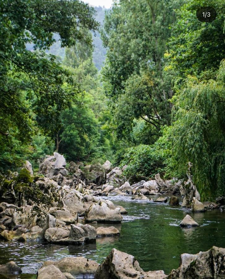 Hdec Hosteria De Castaneda Alojamiento Turistico بوينتي مْبْييسغو المظهر الخارجي الصورة