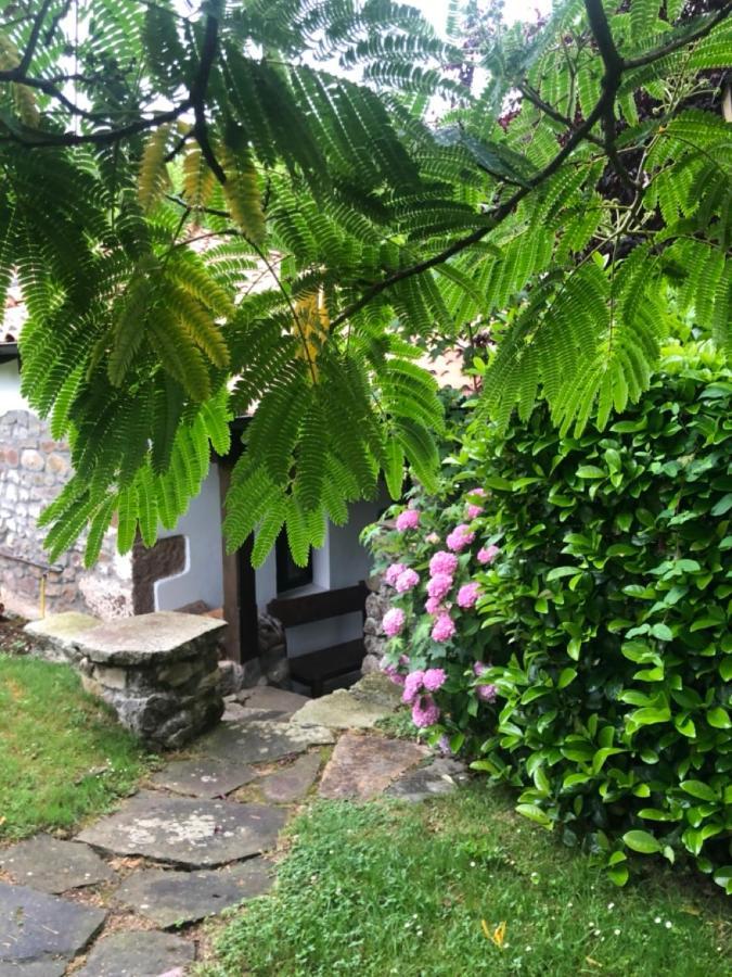 Hdec Hosteria De Castaneda Alojamiento Turistico بوينتي مْبْييسغو المظهر الخارجي الصورة