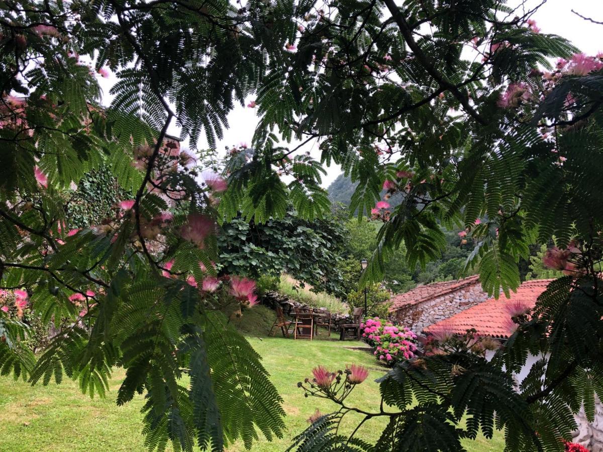 Hdec Hosteria De Castaneda Alojamiento Turistico بوينتي مْبْييسغو المظهر الخارجي الصورة